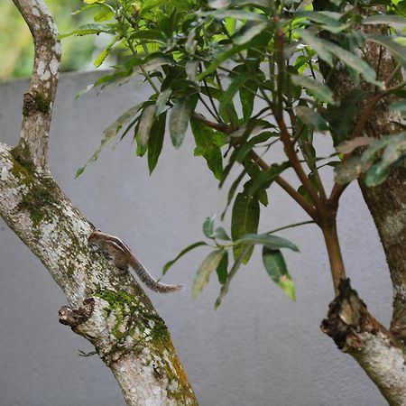 Thambara Villa Unawatuna Exteriör bild